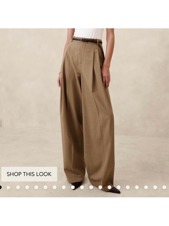 Banana Republic Pants - Banana Republic Siena High-Waist Wide-Leg Pleated Pants in Camel